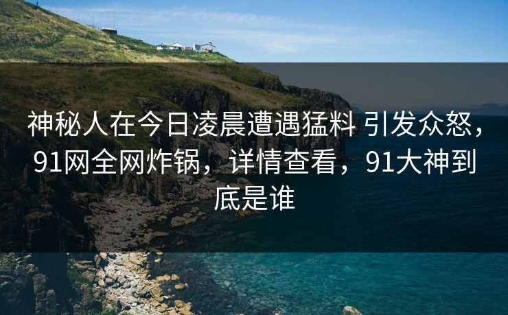 神秘人在今日凌晨遭遇猛料 引发众怒，91网全网炸锅，详情查看，91大神到底是谁