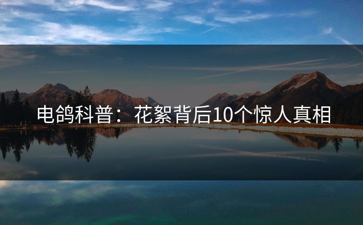 电鸽科普:花絮背后10个惊人真相