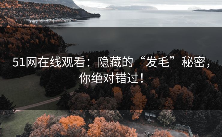 51网在线观看：隐藏的“发毛”秘密，你绝对错过！
