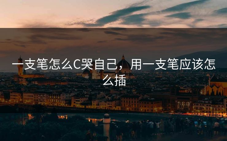 一支笔怎么C哭自己，用一支笔应该怎么插