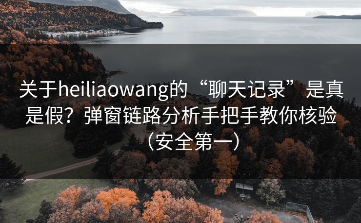 关于heiliaowang的“聊天记录”是真是假？弹窗链路分析手把手教你核验（安全第一）